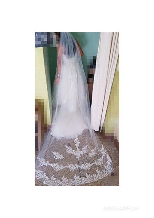 U-Hotmi Bridal Veil Lace Applique Edge Cathedral Veil Long Party Wedding Veil 3 Meter with Comb