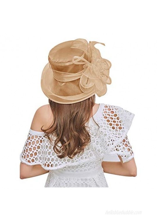 Bellady Women's Organza Church Kentucky Derby Hat Fascinator Bridal Tea Party Wedding Cap