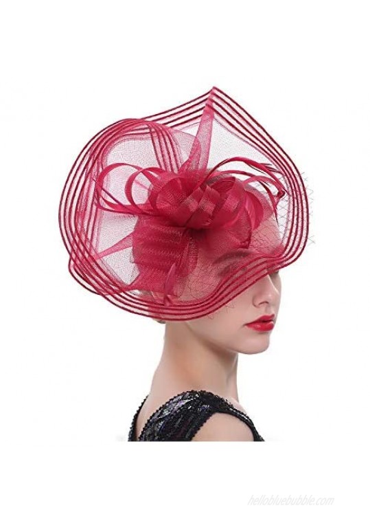 SLSHJY Fascinators Hats Tea Party Headwear Kentucky Derby Hats Wedding Cocktail Mesh Flower Hair Clip for Women