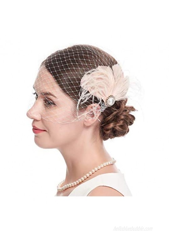 Women's 20s Fascinator Mesh Veil Hair Clips Bridal Wedding Tea Party Fascinator Veil for Women