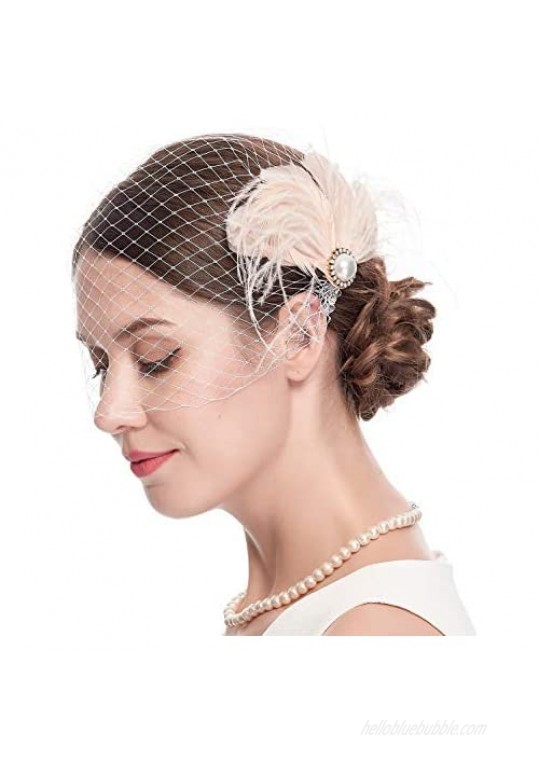 Women's 20s Fascinator Mesh Veil Hair Clips Bridal Wedding Tea Party Fascinator Veil for Women