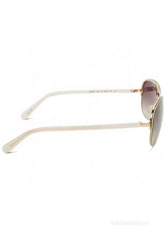 Kate Spade New York Women's Beryl Sunglasses