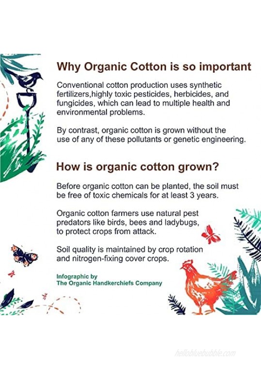 Organic Handkerchiefs Co Men’s Pocket Squares Unbleached Cotton 11 inch Pack of 3