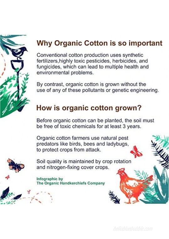 Organic Handkerchiefs Co Men’s Pocket Squares Unbleached Cotton 8 inch Pack of 3