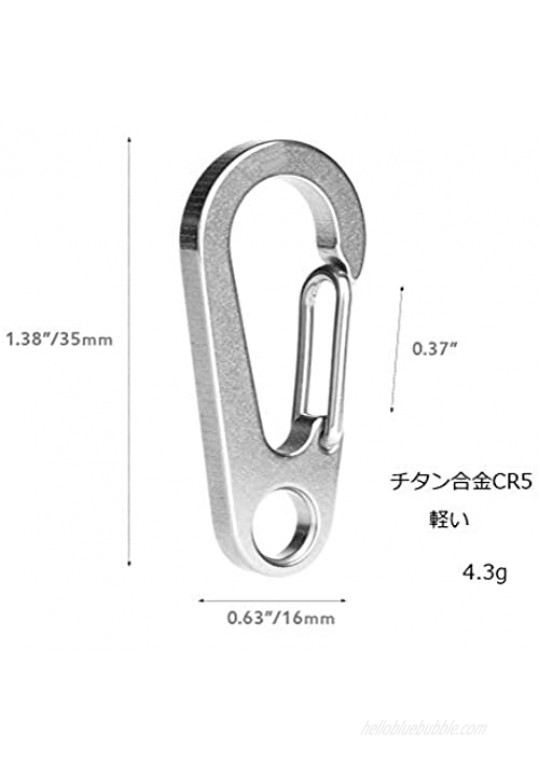 Titanium Heavy Duty Key Rings Mini Carabiners Keychain Quickdraw Hooks Keychain and Key Ring(Silver Small)